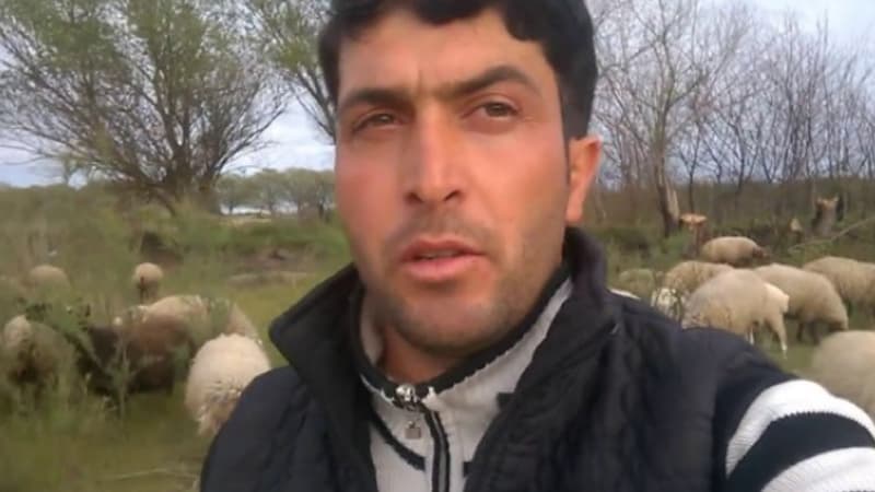 İnternetdə səsi ilə məşhurlaşan çoban: “Qoyunları artırıb biznesə çevirmək istəyirəm”