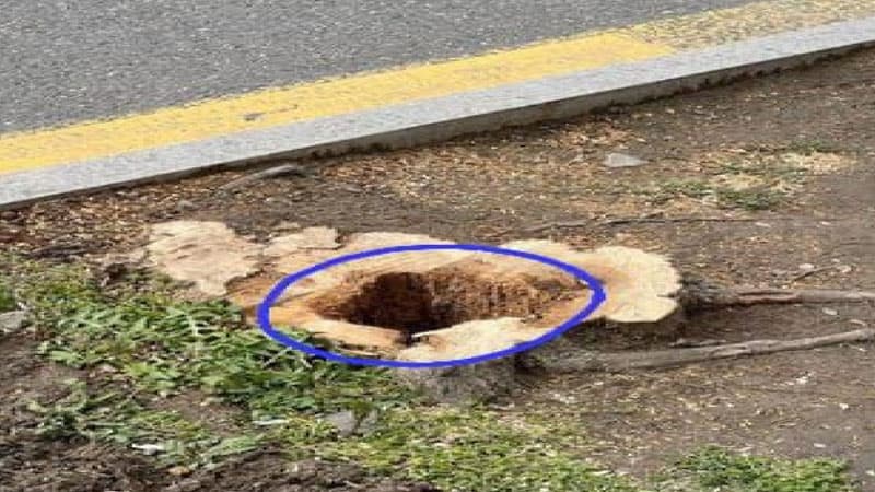 Nəsimi bələdiyyəsinin rəhbərliyi 5000 manat cərimələndi (FOTO)