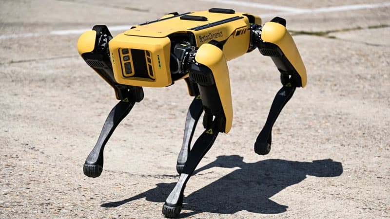 ABŞ “Spot” adlı iki robot itindən birini Ukraynaya bağışlayacaq