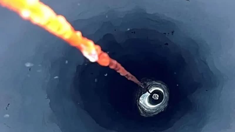 Antarktikada buzun altında dəniz həyatının "gizli dünyası" kəşf edildi