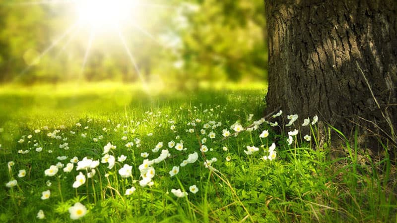 Sabah havanın temperaturu 38 dərəcəyədək artacaq