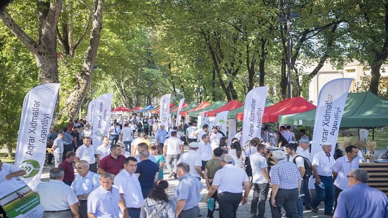 İsmayıllıda respublika toxum sərgi-satış yarmarkası keçirildi (FOTO)