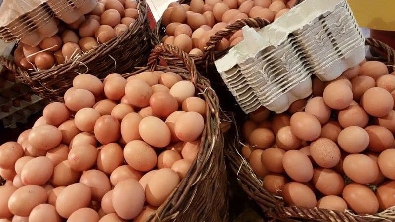 Yumurtanın qiymətinin qalxması ilə bağlı açıqlama (RƏSMİ)