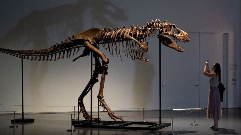 6 milyon dollara satılan qədim dinozavr skeleti