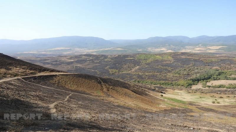Şabranın bəzi kəndlərində yanğınlar söndürüldü (FOTO)