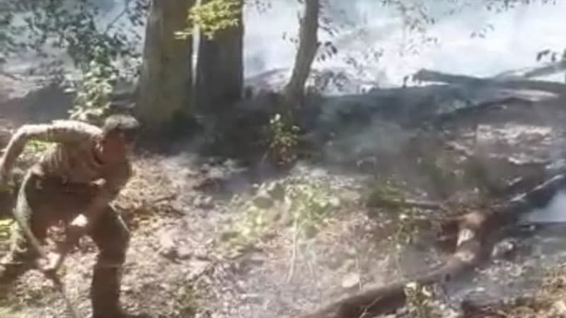 Oğuzda meşədə yanğın söndürüldü (YENİLƏNİB)