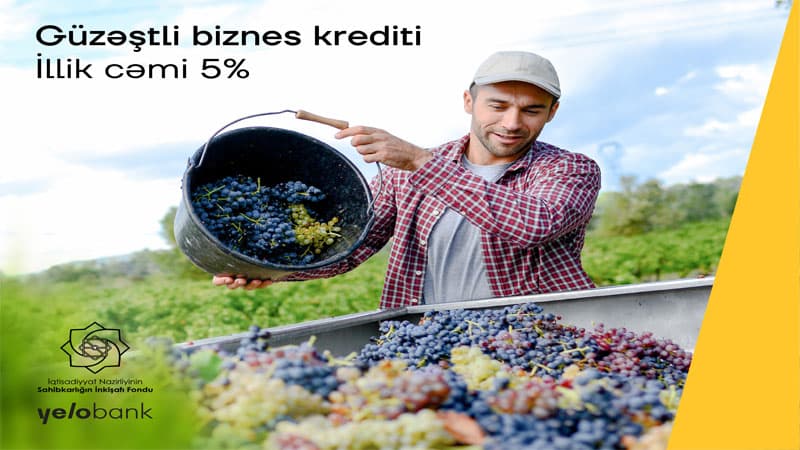 Yelo Bank-dan illik cəmi 5%-lik kreditlə biznes dəstəyi (R)