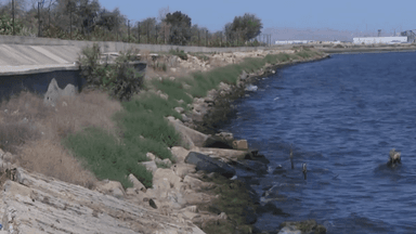 Böyüklər boğulur, uşaqlar xəstəlik tapır – Sahil qəsəbəsində nə baş verir? (VİDEO/FOTO)