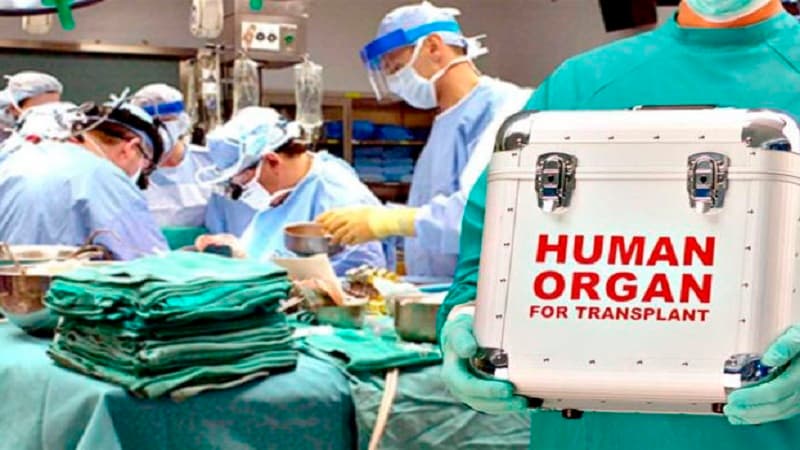 Transplantasiya məqsədilə donor orqanların idxalı və ixracı qaydası təsdiqləndi