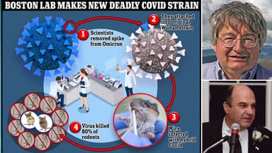 Daily Mail: ABŞ alimləri siçanların 80%-ni öldürən COVID ştamını yaratdılar