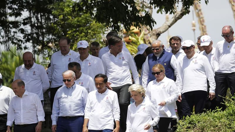 G20 liderlərinin yekun bəyannaməsində Rusiya bəndi...