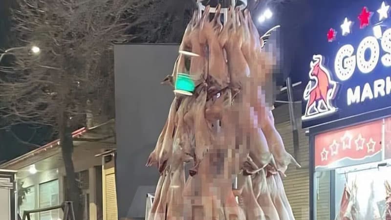 Özbəkistanda quzu cəmdəklərindən yolka quruldu (FOTO)
