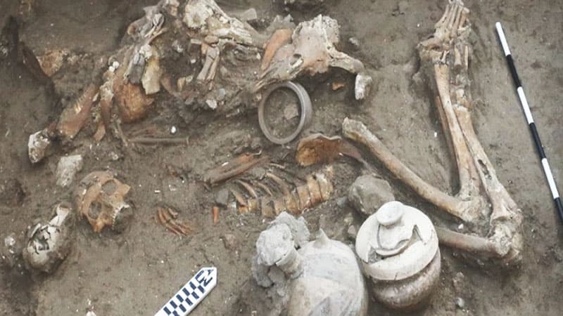 İsraildə 3500 illik beyin cərrahiyyəsi faktının izləri üzə çıxdı (FOTO)