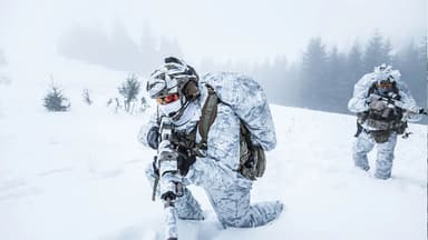 DARPA və Pentaqon əsgərləri şaxtaya dözümlü etmək üçün dərman axtarır