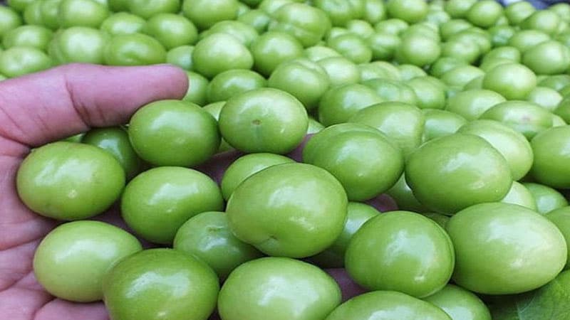 Bakıda alça neçəyədir? - Qiymətlər