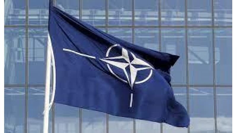 ABŞ və Almaniya Ukraynanın NATO-ya üzvlüyü üçün “yol xəritəsi”nə qarşıdır - FT