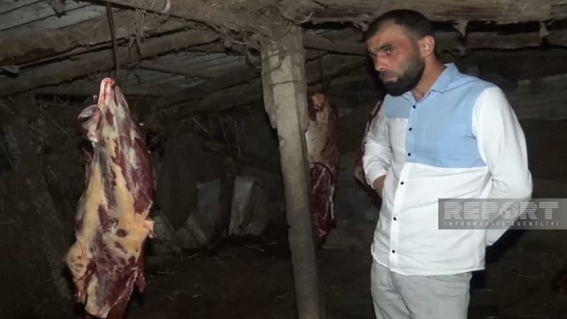 Bakıda at əti satmaq istəyənlər saxlanıldı (FOTO)