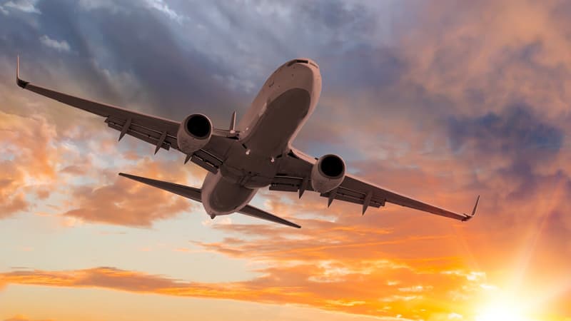 Pilotu ağcaqanad dişlədiyi üçün təyyarə 5 saat gecikdi