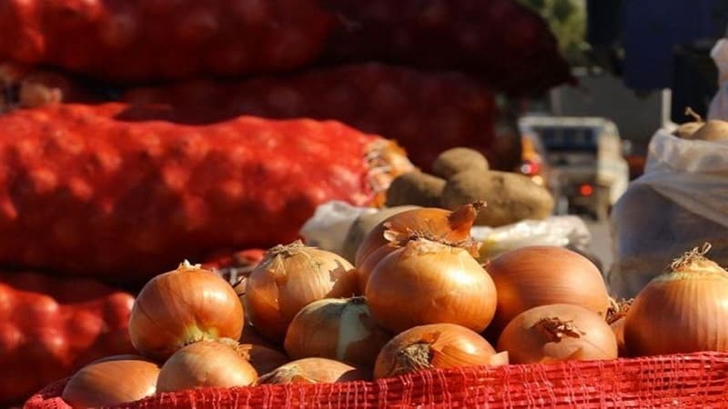 Bazarlarda soğanın bahalaşmasının səbəbi nədir? (VİDEO)