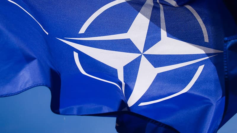 AP deputatı NATO-nun ləğv edilməsini istəyir