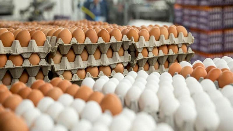 Yumurta bahalaşacaq? (AÇIQLAMA)
