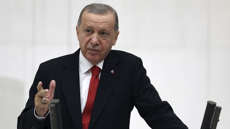 Ərdoğan: "Türkiyə Ukraynada hərbi əməliyyatlara son qoymağa çalışacaq"