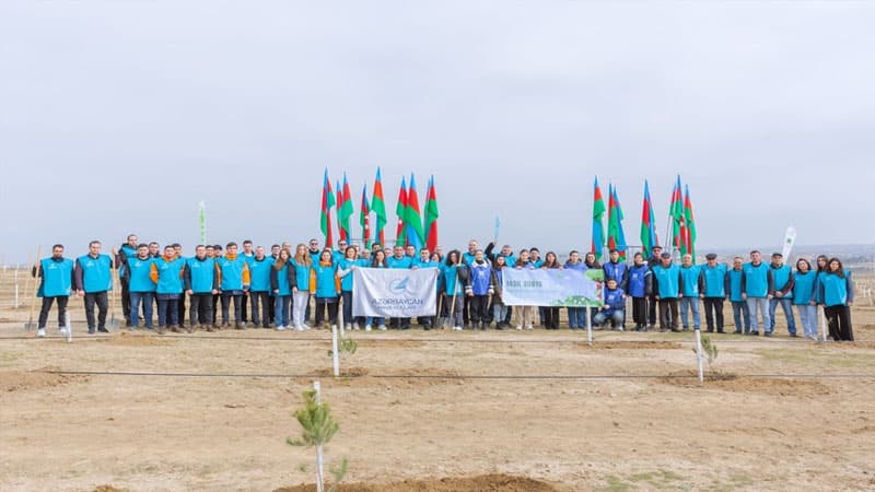 AZAL-ın əməkdaşları 600-dən çox ağac əkdi (FOTO/VİDEO)