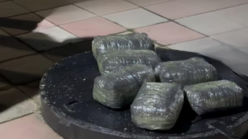 Azərbaycanda ötən gün 23 kiloqrama yaxın narkotik aşkarlandı