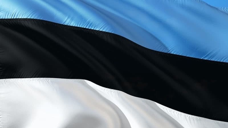 Estoniya 1944-də Tallinin bombalanmasını yada saldı, Rusiya təyyarələrini günahlandırdı