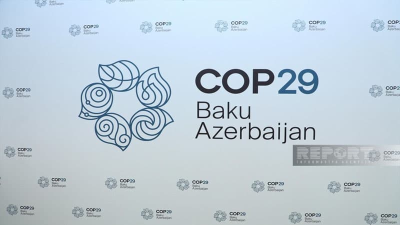 COP29-un rəsmi saytı istifadəyə verildi