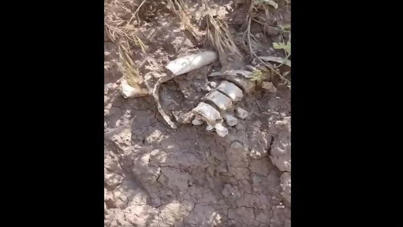 Laçında yol çəkilişi zamanı insan qalıqları tapıldı (VİDEO)