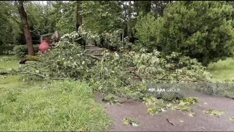 Qəbələdə leysan yağışları güclü fəsadlar törətdi - Yollar bağlandı (FOTO)