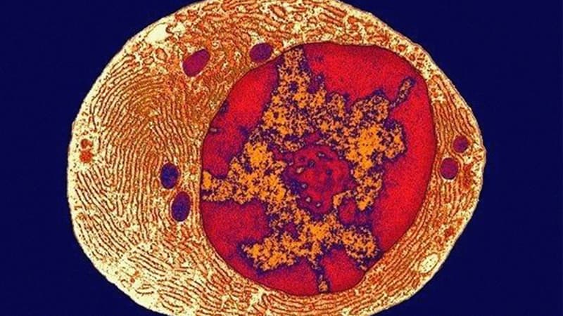 Yerdə həyat nə vax yaranıb? - Yeni araşdırma