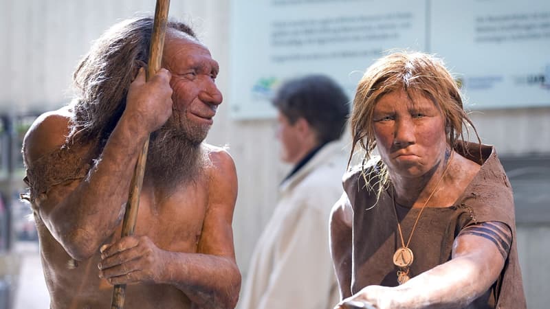 Neandertalların nəsli kəsilməyibmiş - Alimlərdən maraqlı araşdırma