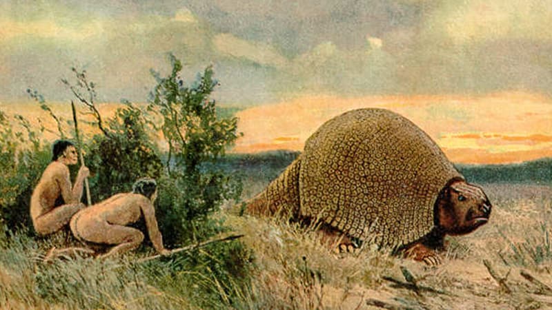 Tarixdən əvvəlki argentinalılar nəhəng armadilloları məhv ediblər - Alimlər
