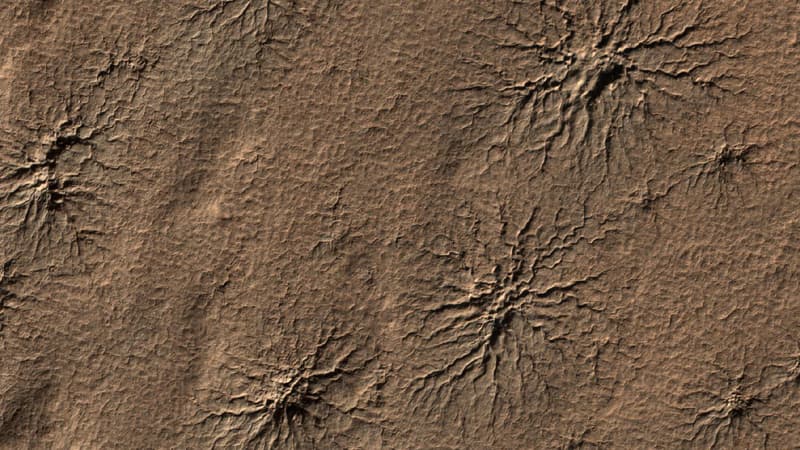 NASA alimləri ilk dəfə laboratoriyada "Marsın hörümçəkləri"ni yenidən yaratdı