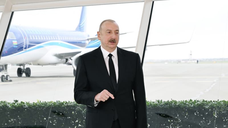 İlham Əliyev təyyarə qəzasının səbəbləri ilə bağlı bir sıra faktları açıqladı