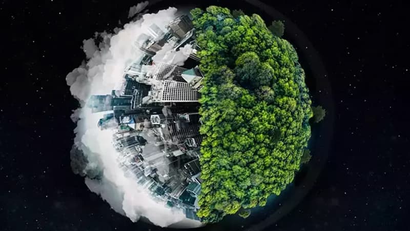 İqlim böhranı: 2024-cü ildə 41 əlavə təhlükəli isti gün yaşanıb