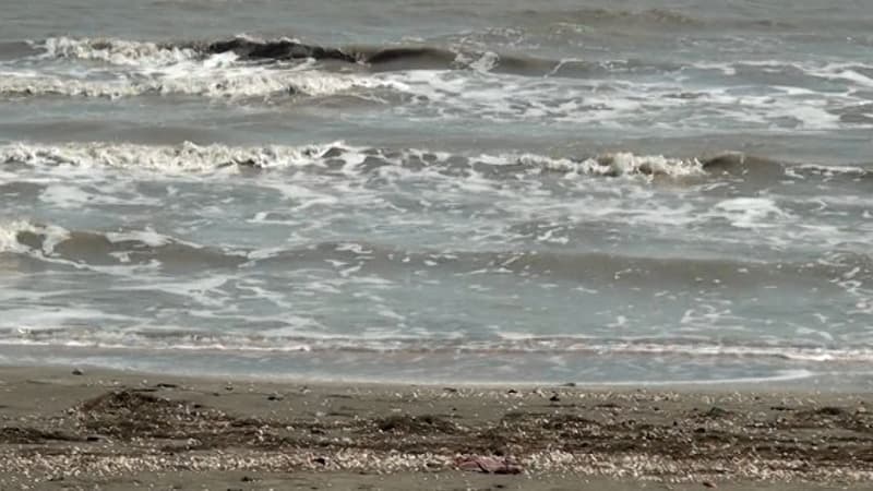 Yağışlar yağır, amma Xəzər quruyur - Səbəb nədir?