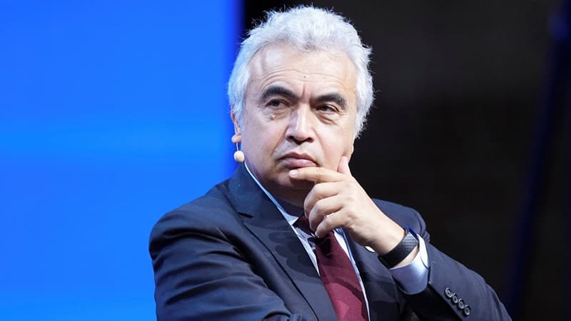 Fatih Birol "Dostluq" ordeni ilə təltif edildi
