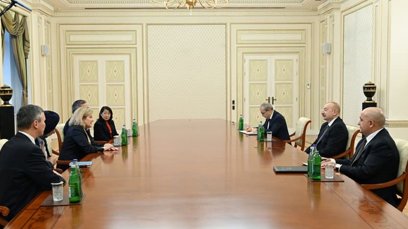 Prezident Cenni Consonu qəbul etdi