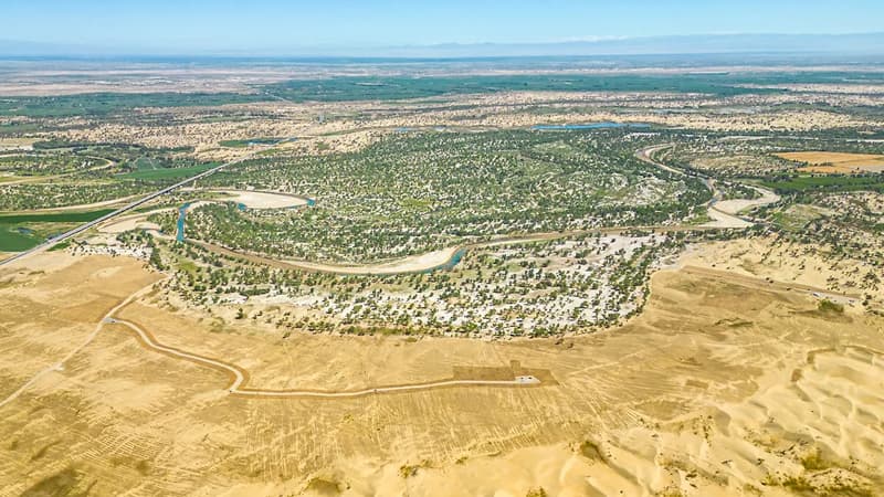 46 illik əmək, 600 min insan... - Çində 3 min km-lik meşə saldılar