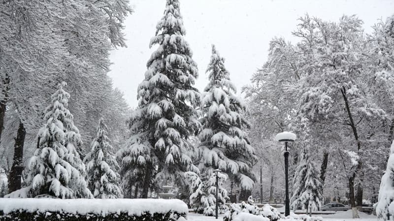 Qar yağacaq, temperatur 7-10 dərəcə enəcək (XƏBƏRDARLIQ)