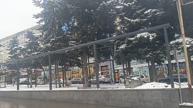 Əhmədlidə ağacları əhatəyə alıb obyekt tikirlər (FOTO/VİDEO)