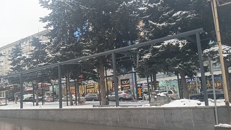 Əhmədlidə ağacları əhatəyə alıb obyekt tikirlər (FOTO/VİDEO)