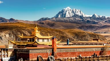 Çin alimləri Tibeti kənd təsərrüfatı bölgəsinə çevirməyi təklif edir