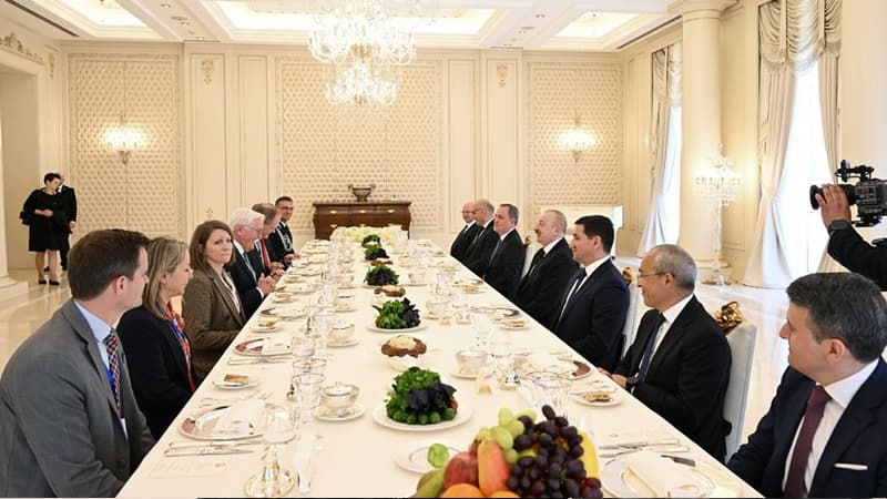 Almaniya Prezidentinin şərəfinə rəsmi nahar verildi