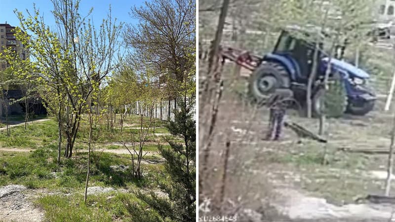 Sumqayıtda Heydər Əliyevin adına əkilmiş ağaclar kəsildi - Sakinlər ölkə rəhbərliyinə müraciət etdi