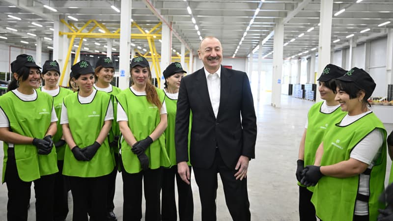 Prezident Qusarda bağçılıq və soyuducu anbar kompleksinin fəaliyyəti ilə tanış oldu (FOTO)