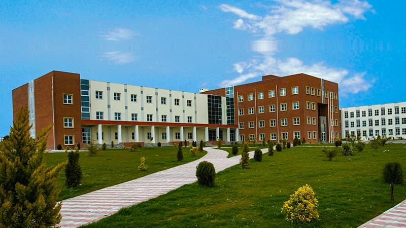 Azərbaycanda yeni institut yaradıldı